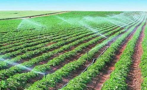 插大逼网农田高 效节水灌溉